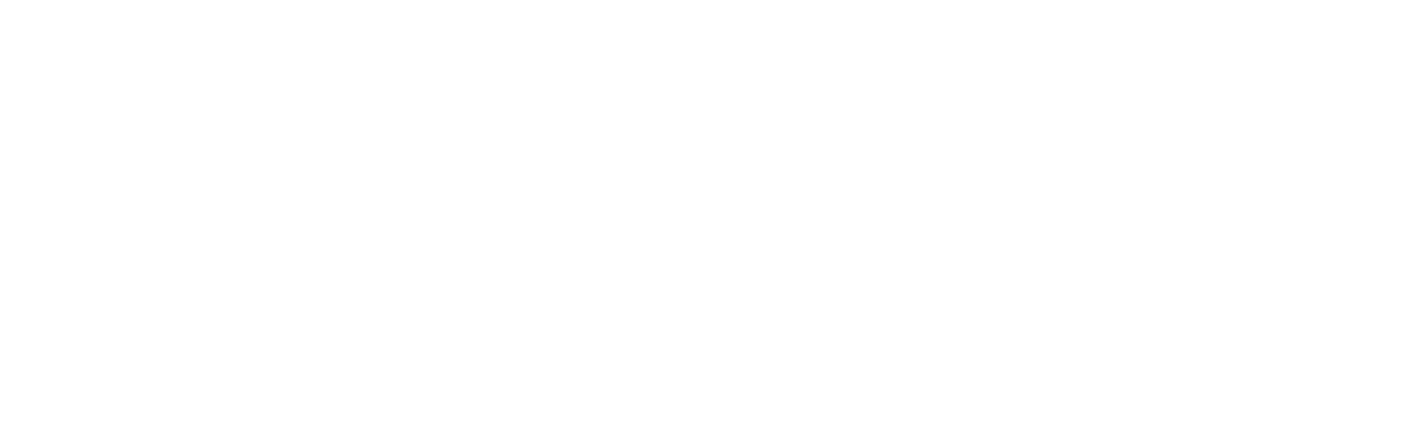 Chubb logo white-3