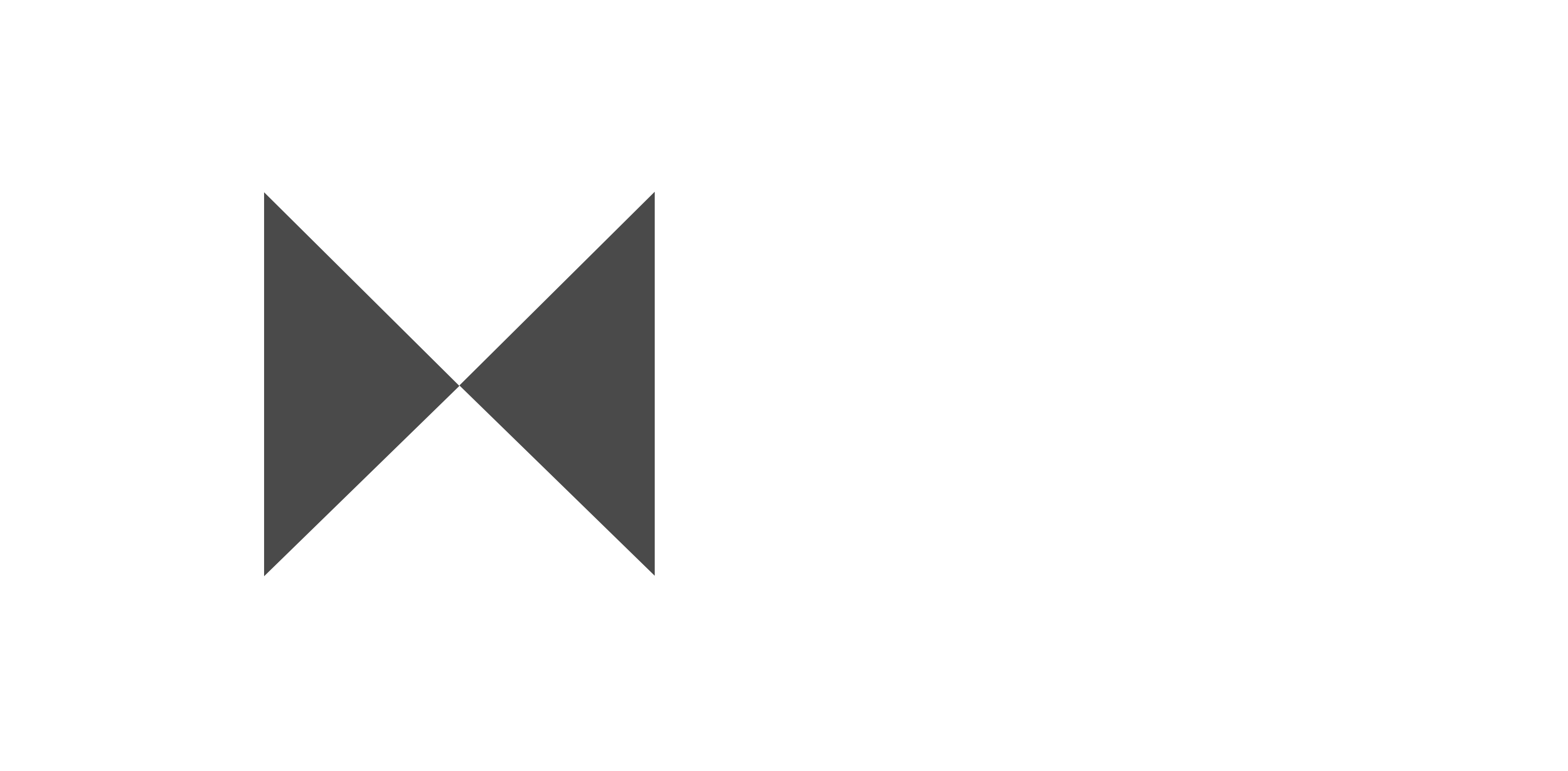 HSBC logo white-4