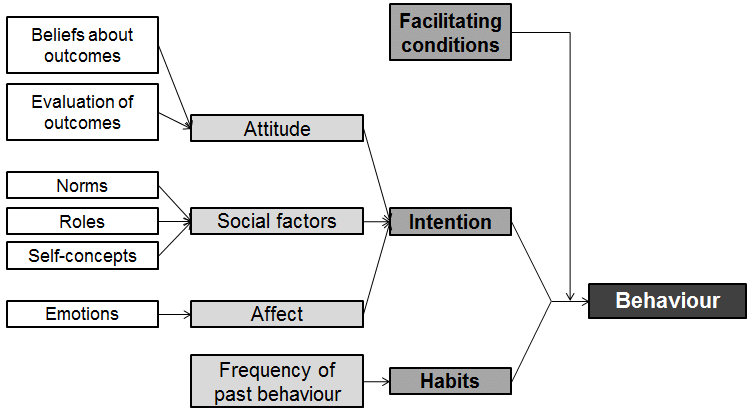 Triandis-Theory-of-Interpersonal-Behaviour-model-as-adapted-by-Jackson